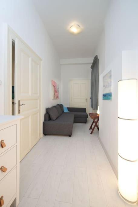 Apartment Spacious Nearby Parliament